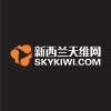 Skykiwi.com logo