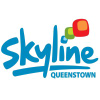 Skyline.co.nz logo