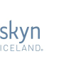 Skyniceland.com logo