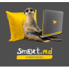 Smart.md logo