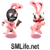 Smlife.net logo