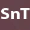 Snthostings.com logo