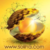 Soliha.com logo