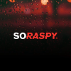 Soraspy.com logo