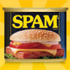 Spam.com logo