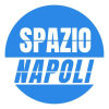 Spazionapoli.it logo