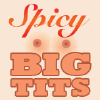 Spicybigtits.com logo