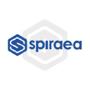 Spiraea