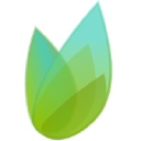 SpringTime Ventures  logo