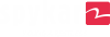 Spykar.com logo