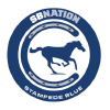 Stampedeblue.com logo