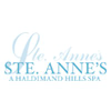 Steannes.com logo