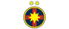 Steauafc.com logo