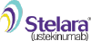 Stelarainfo.com logo