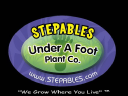 Stepables.com logo
