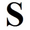 Stonewashersjournal.com logo