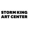 Stormking.org logo