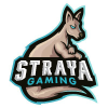 Strayagaming.com.au logo