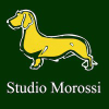 Studiomorossi.it logo