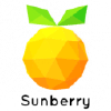 Sunberry.io logo