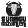 Sunucucozumleri.com logo