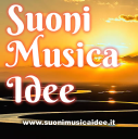Suonimusicaidee.it logo