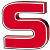 Suono.it logo