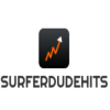 Surferdudehits.com logo