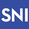 Surgicalneurologyint.com logo