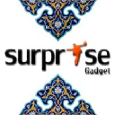 Surprisegadget.com logo