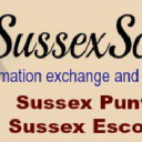 Sussexscene.com logo