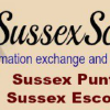 Sussexscene.com logo