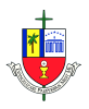 Svdp.edu logo