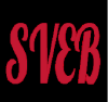 Svebnoticias.com logo