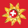 Swisstravelsystem.com logo