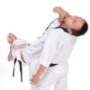 Taekwondoanimals.com logo