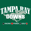 Tampabaydowns.com logo