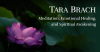 Tarabrach.com logo