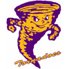 Taylorvilleschools.com logo