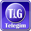 Telegim.com logo