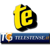 Telestense.it logo