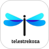 Telestrekoza.com logo