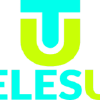 Telesup.net logo
