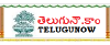 Telugunow.com logo