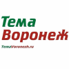 Temavoronezh.ru logo