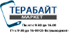 Terabytemarket.ru logo