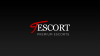 Tescort.com logo