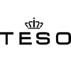 Teso.nl logo