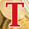Tesorodigital.com logo