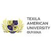 Texilaamericanuniversity.com logo
